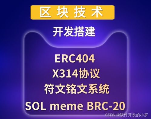 區(qū)塊鏈核心技術(shù)開發(fā)全棧實踐 從x314協(xié)議到智能合約與公鏈搭建