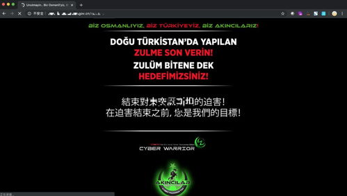 常見網絡安全風險及應對策略 聚焦網絡與信息安全軟件開發(fā)